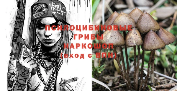 2c-b Алексеевка