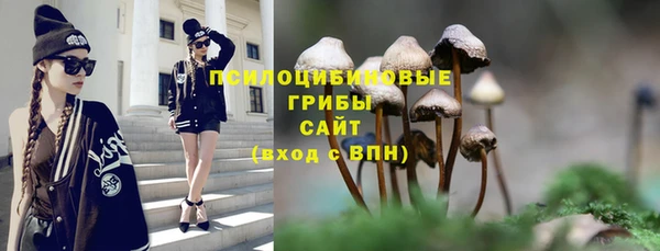 мескалин Алексин