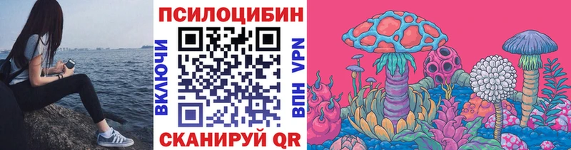 Псилоцибиновые грибы Magic Shrooms  закладка  Ковылкино 